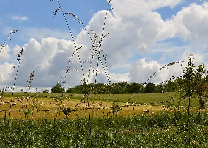 Chateau De Lacomte 4*